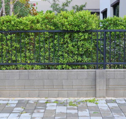 Garten einzäunen